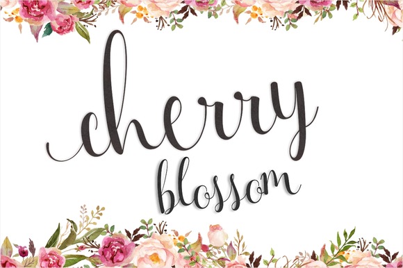 Cherry_Blossom1