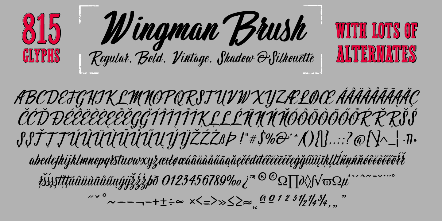 Wingman-1440x720_08-min