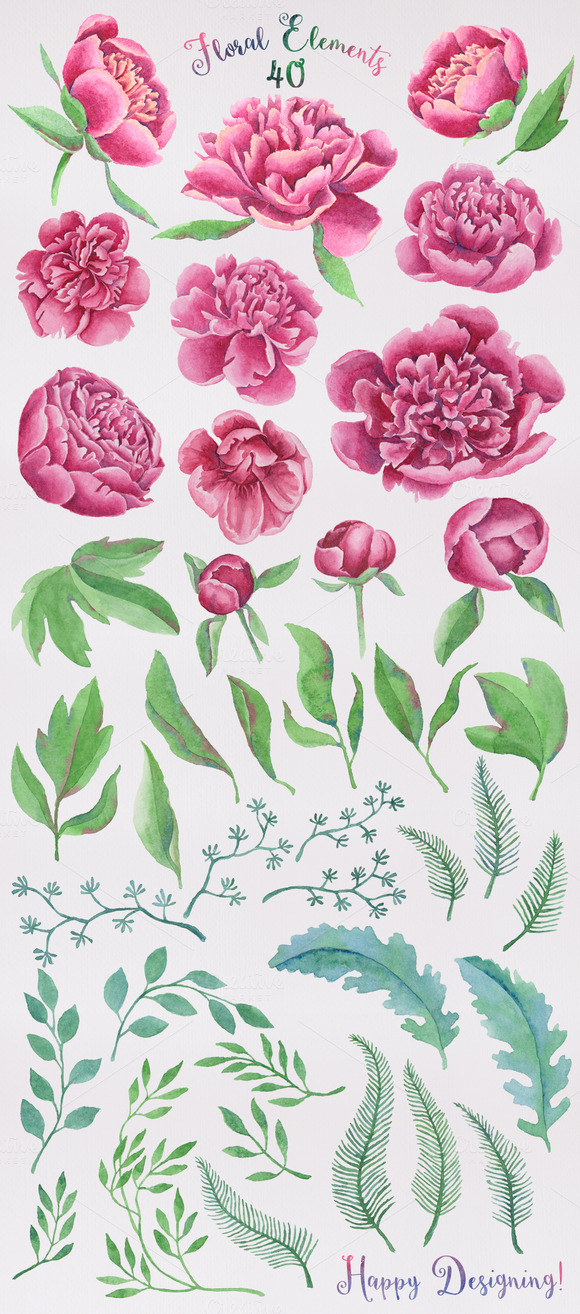 peonies_all-elements_by-stella-f