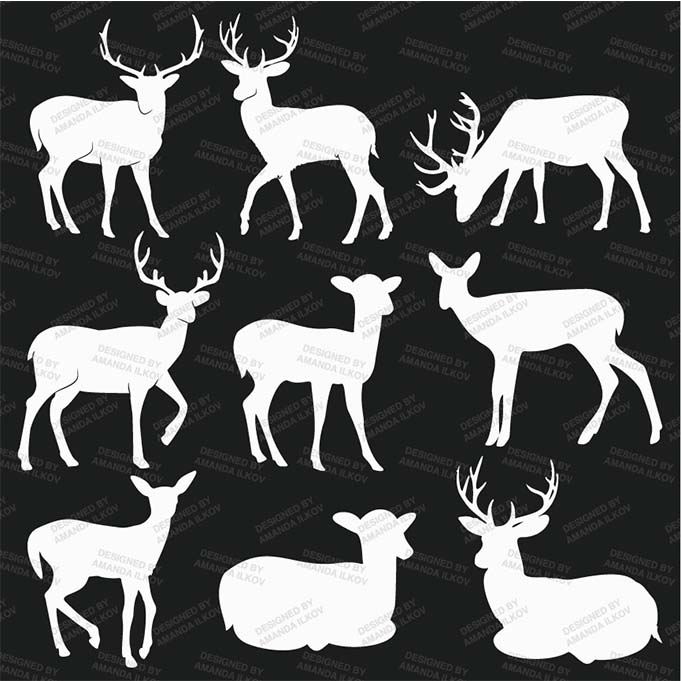 ChalkboardDeerAndAntlers_package-02