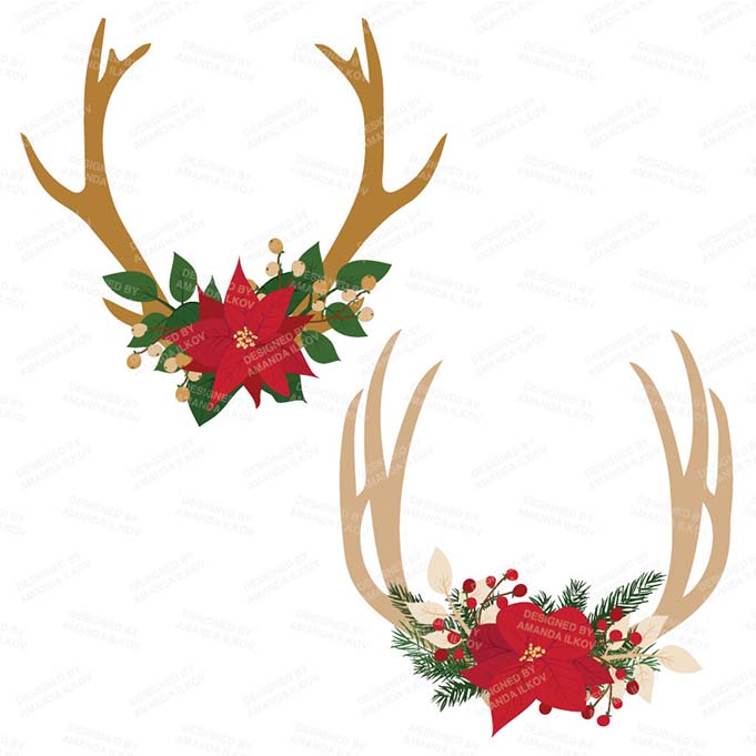 PoinsettiaAntlers_package-02