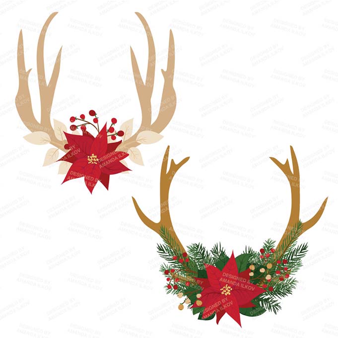 PoinsettiaAntlers_package-03