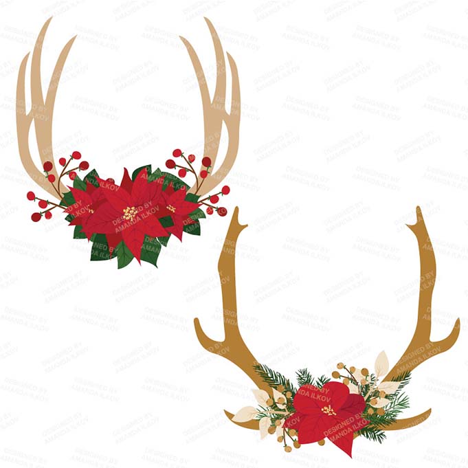 PoinsettiaAntlers_package-04