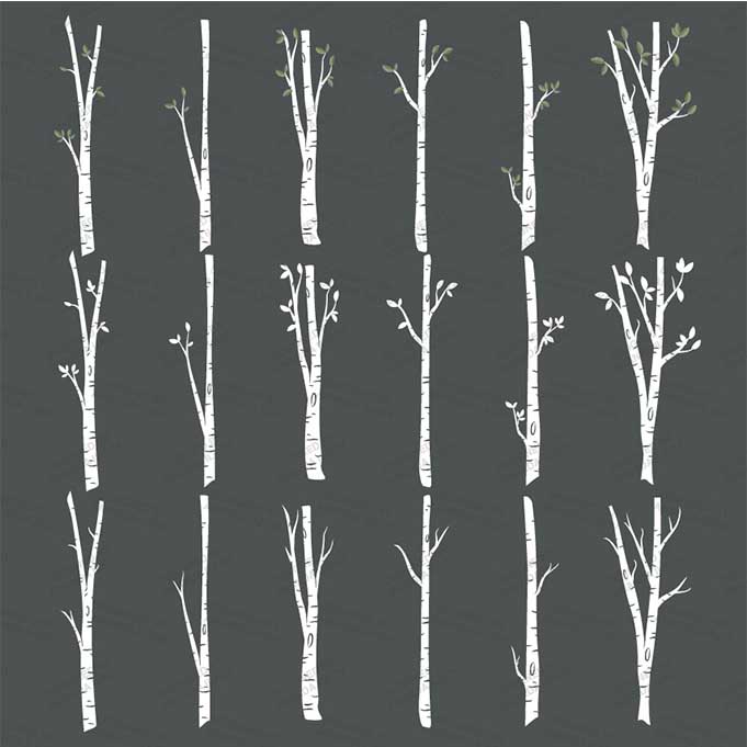 birchTrees-3