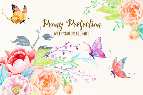 Watercolor Clipart Peony1