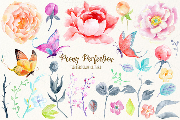 Watercolor Clipart Peony2