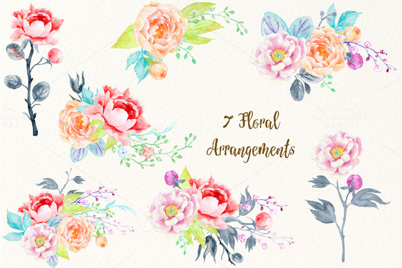 Watercolor Clipart Peony3