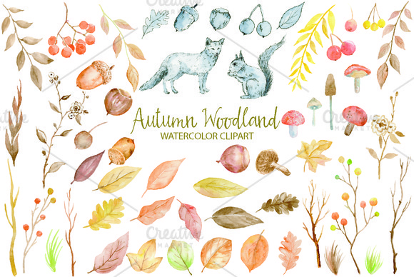 Watercolor Clipart2