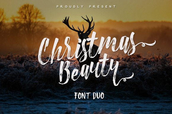 christmas-beauty1