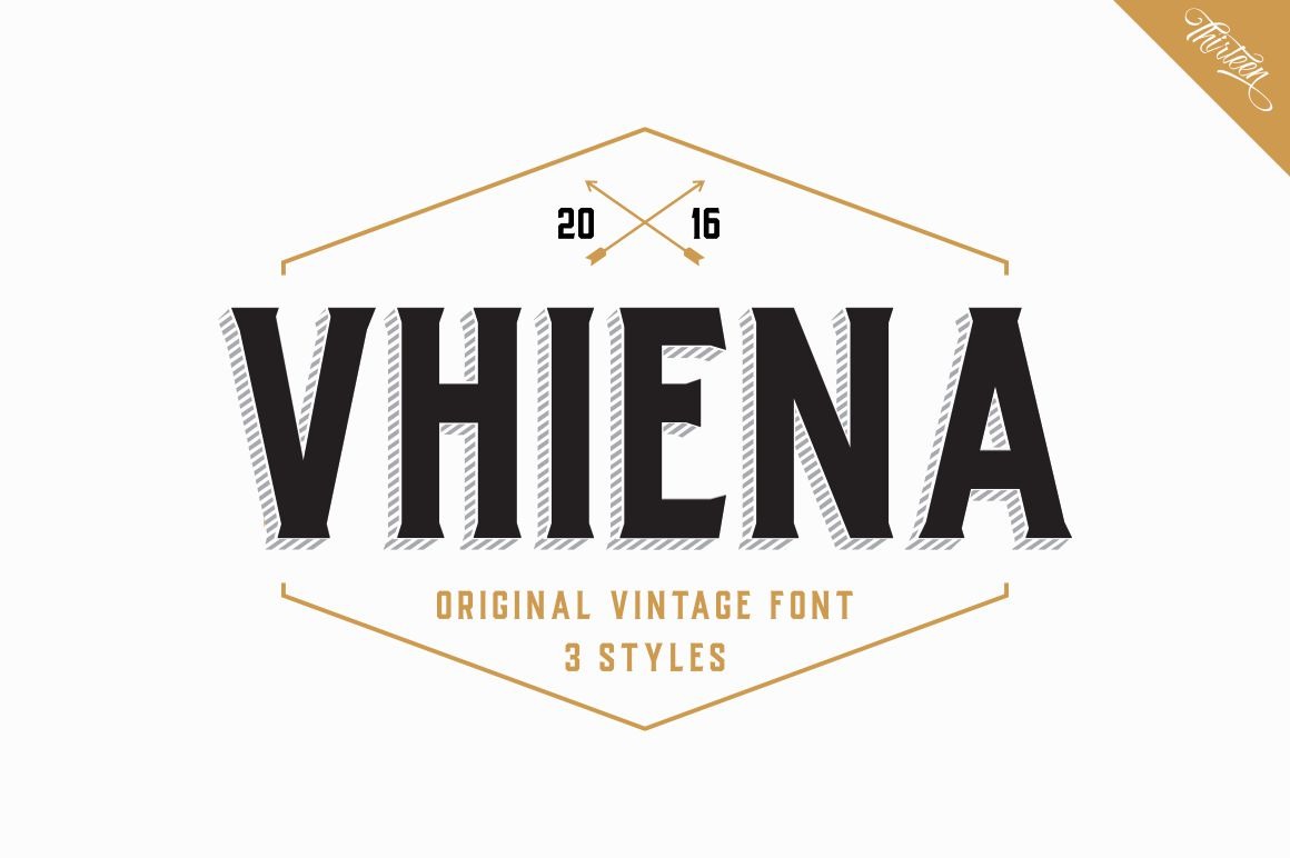 vhiena-type1