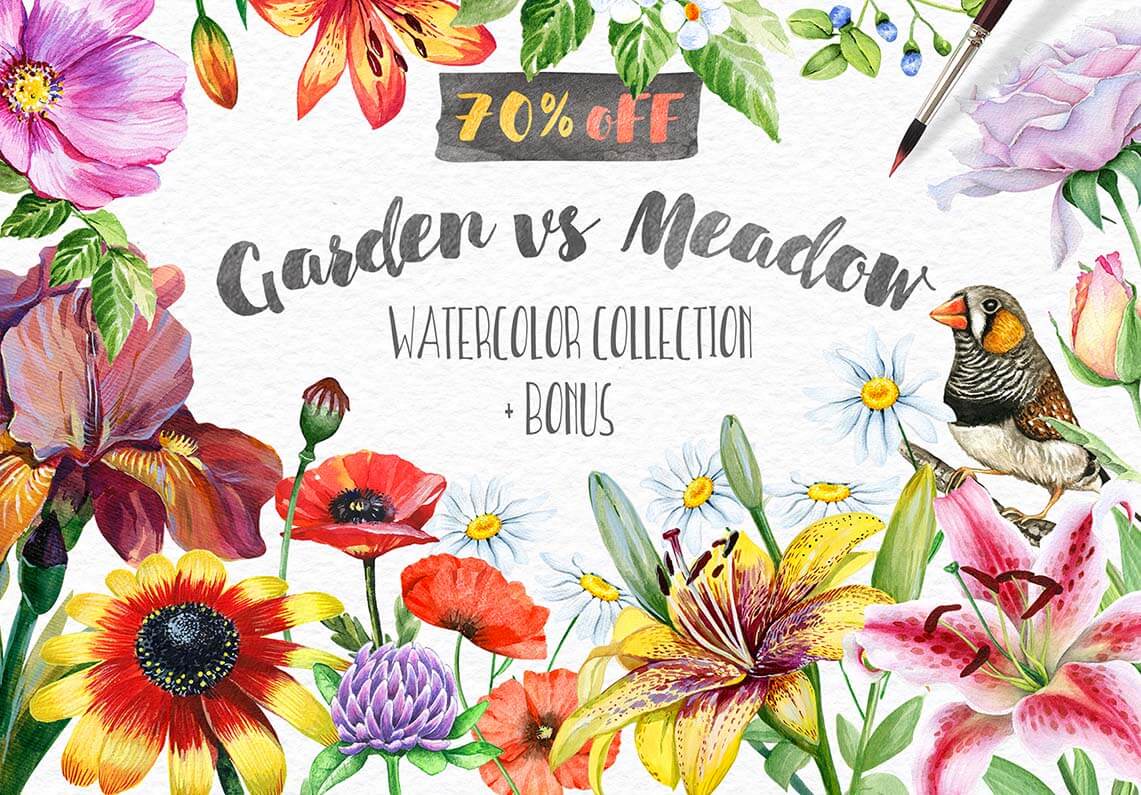 Garden vs Meadow